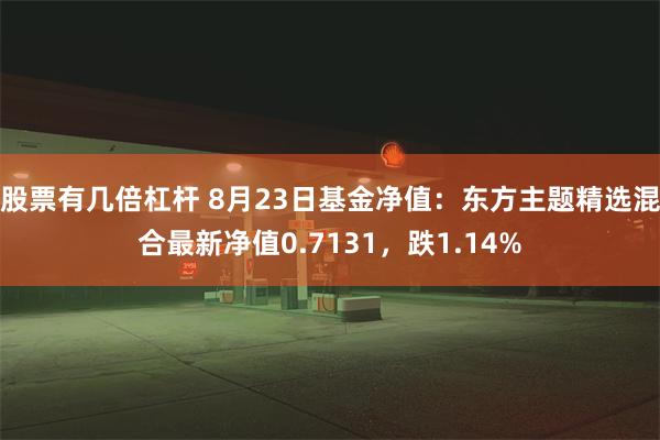 股票有几倍杠杆 8月23日基金净值：东方主题精选混合最新净值0.7131，跌1.14%