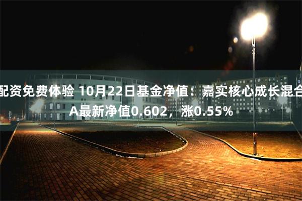 配资免费体验 10月22日基金净值：嘉实核心成长混合A最新净值0.602，涨0.55%