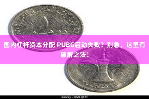 国内杠杆资本分配 PUBG启动失败？别急，这里有破解之法！