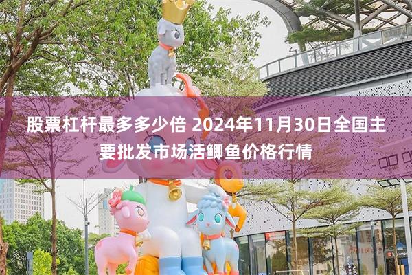 股票杠杆最多多少倍 2024年11月30日全国主要批发市场活鲫鱼价格行情