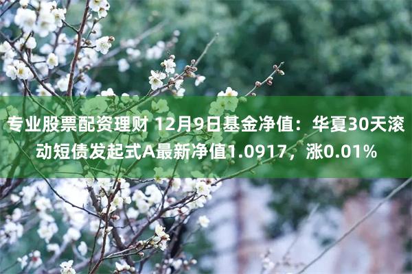 专业股票配资理财 12月9日基金净值：华夏30天滚动短债发起式A最新净值1.0917，涨0.01%