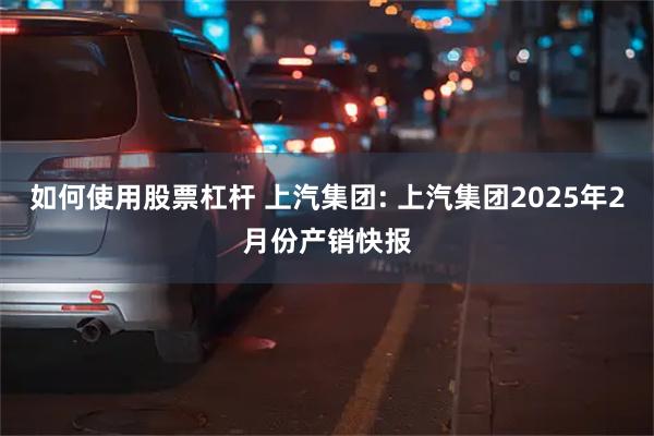 如何使用股票杠杆 上汽集团: 上汽集团2025年2月份产销快报